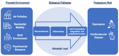 renewal conceptual framework